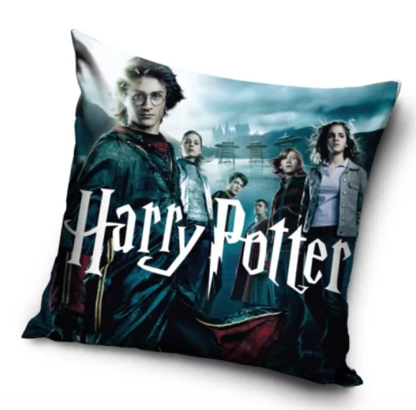 COUSSIN HARRY POTTER